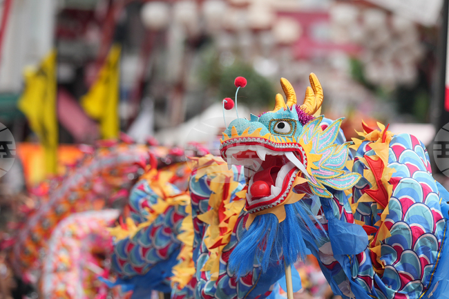 Brazil Chinese New Year