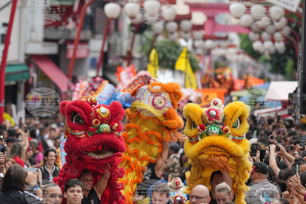 Brazil Chinese New Year