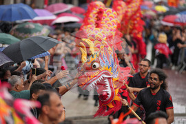 Brazil Chinese New Year