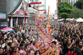 Brazil Chinese New Year