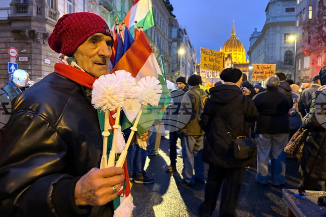Hungary Roma Protest