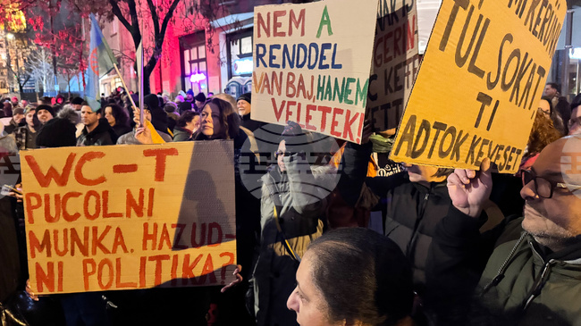 Протест в Будапеща срещу антиромски изказвания на унгарски министър