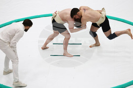 Britain Northern Ireland Sumo