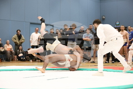 Britain Northern Ireland Sumo