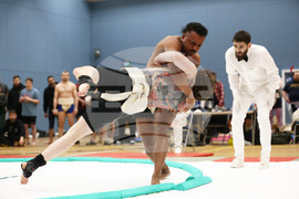Britain Northern Ireland Sumo