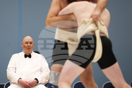 Britain Northern Ireland Sumo