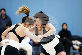 Britain Northern Ireland Sumo