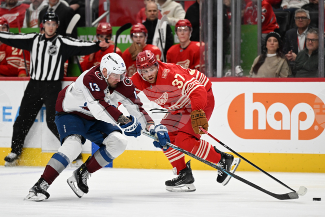 Senators Red Wings Hockey