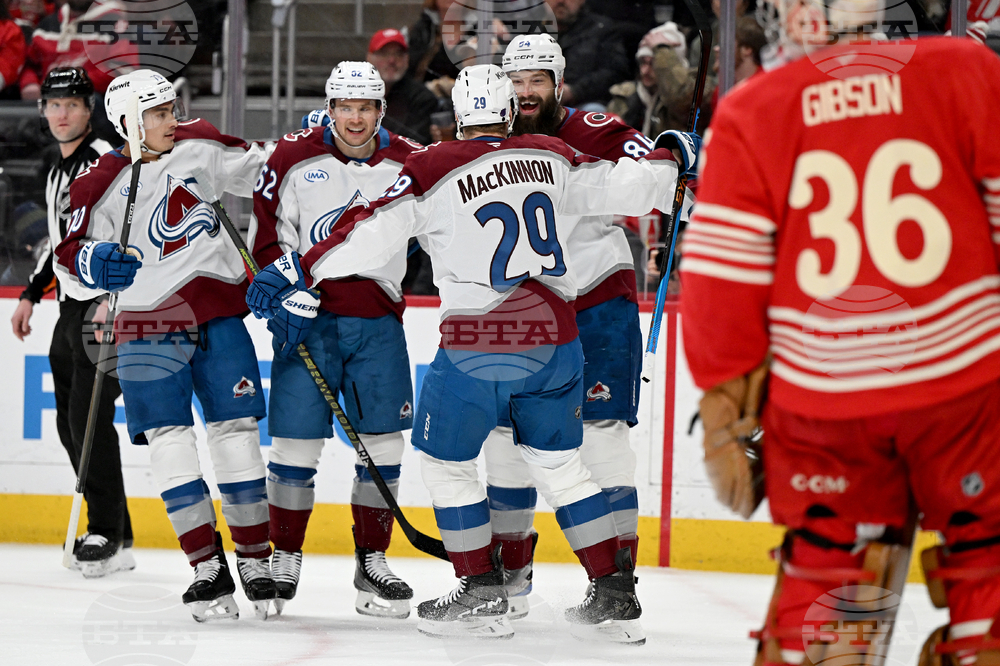 Senators Red Wings Hockey