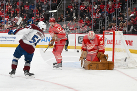 Senators Red Wings Hockey