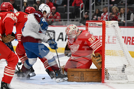 Senators Red Wings Hockey