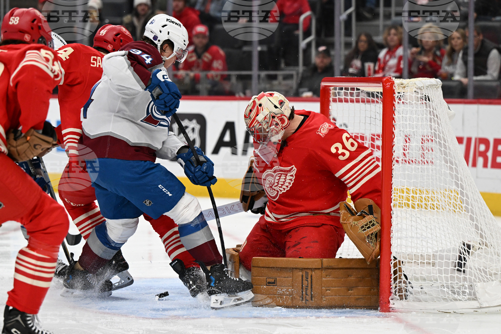 Senators Red Wings Hockey