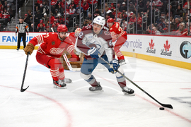 Senators Red Wings Hockey