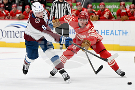 Senators Red Wings Hockey