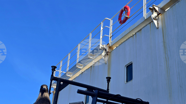 Предпоследната група от 34-тата българска антарктическа експедиция отплава днес с кораба “Св. св. Кирил и Методий” за остров Ливингстън