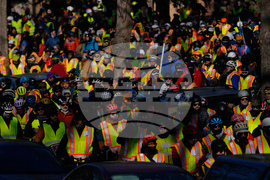 Immigration Enforcement Minnesota