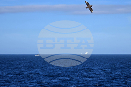 King George Island - Antarctica - Bulgarian Antarctic expedition - departure