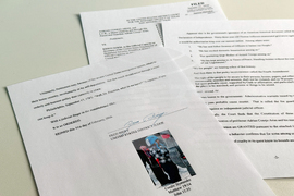 Immigration Enforcement Boy Detained