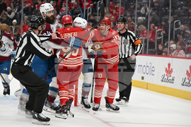 Senators Red Wings Hockey