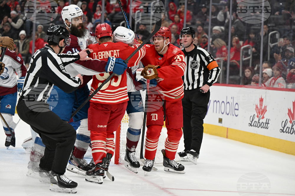 Senators Red Wings Hockey