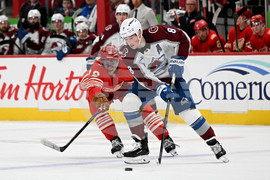 Senators Red Wings Hockey