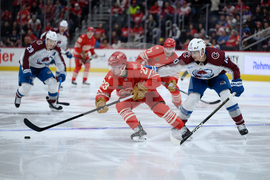 Senators Red Wings Hockey