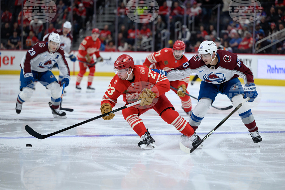 Senators Red Wings Hockey