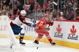 Senators Red Wings Hockey