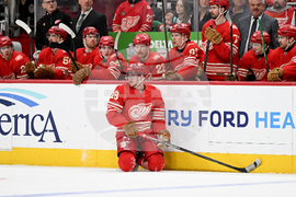 Senators Red Wings Hockey