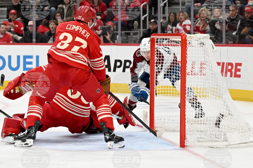 Senators Red Wings Hockey