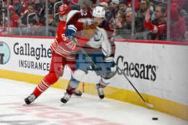 Senators Red Wings Hockey