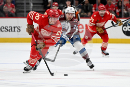 Senators Red Wings Hockey