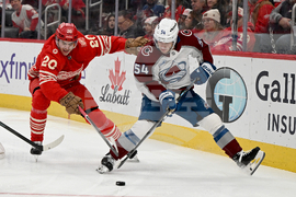 Senators Red Wings Hockey