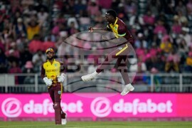 South Africa West Indies T20 Cricket