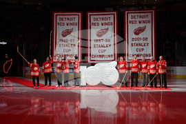 Senators Red Wings Hockey