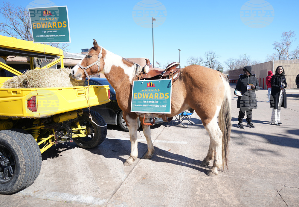Election 2026 Texas Congress