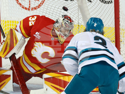 Sharks Flames Hockey