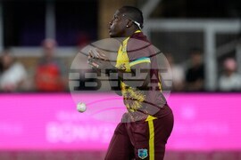 South Africa West Indies T20 Cricket