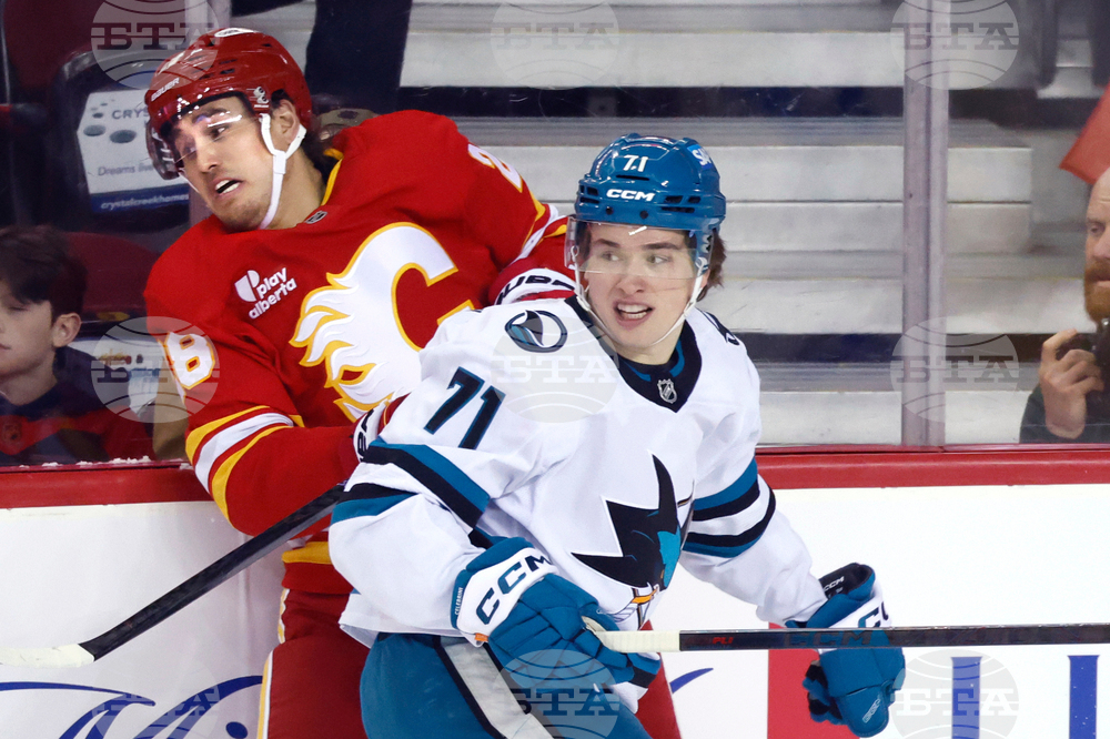 Sharks Flames Hockey