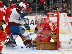 Avalanche Red Wings Hockey