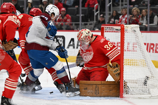 Avalanche Red Wings Hockey