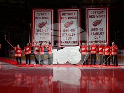 Avalanche Red Wings Hockey