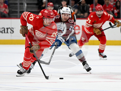 Avalanche Red Wings Hockey