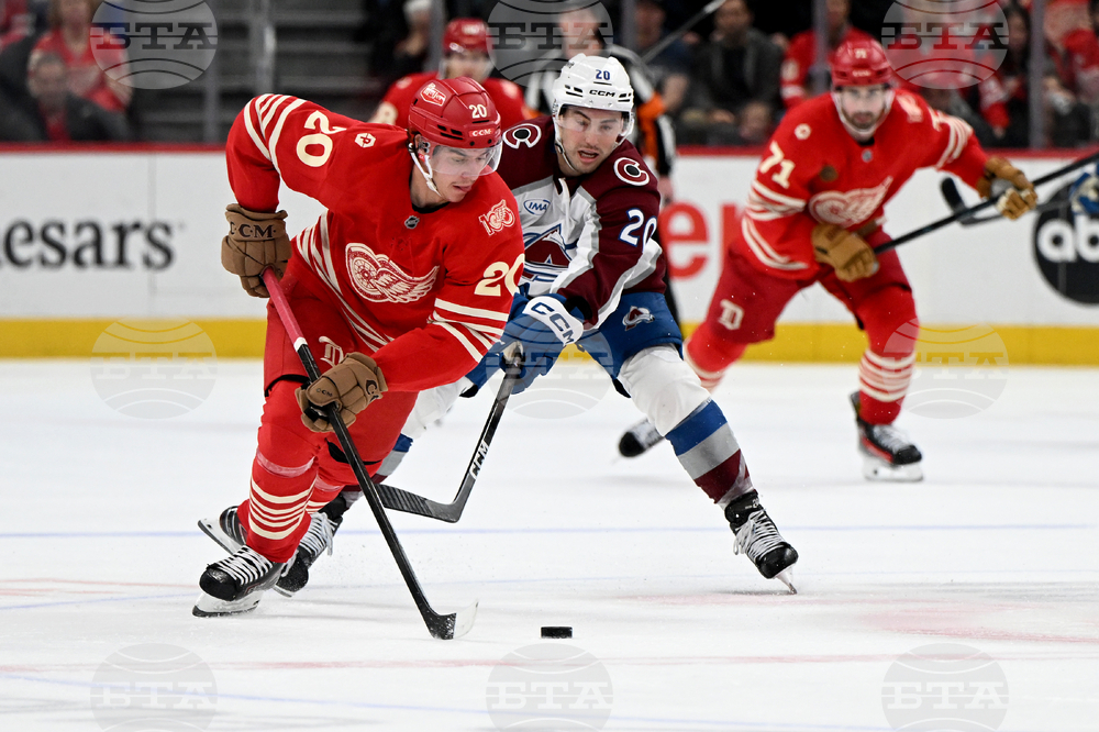 Avalanche Red Wings Hockey