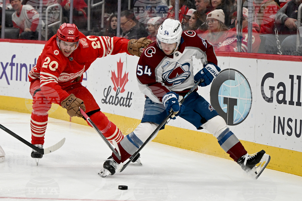 Avalanche Red Wings Hockey