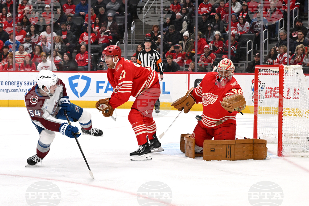 Avalanche Red Wings Hockey