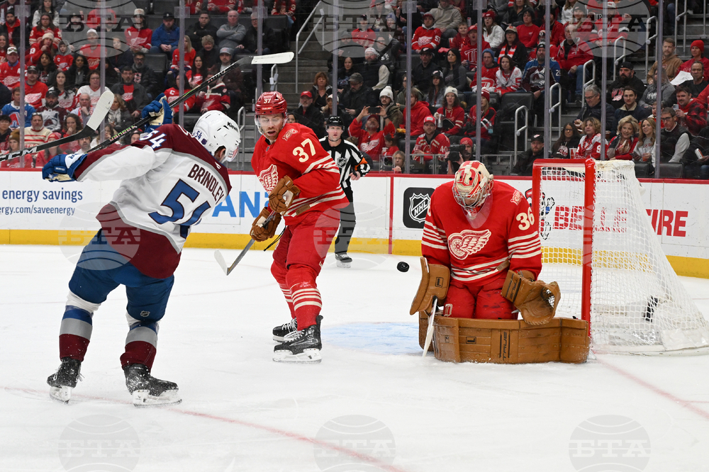 Avalanche Red Wings Hockey