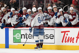 Avalanche Red Wings Hockey