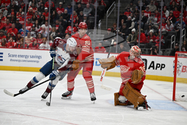 Avalanche Red Wings Hockey