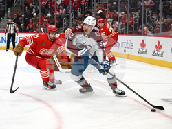 Avalanche Red Wings Hockey